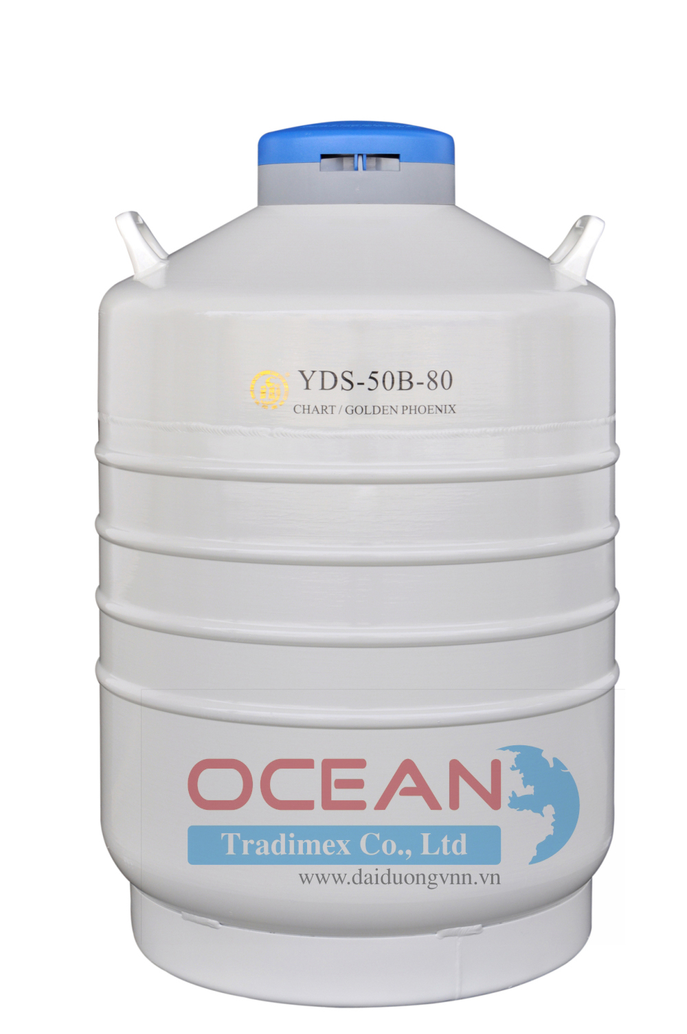 Bình Chứa Ni-tơ Lỏng YDS-50B-80